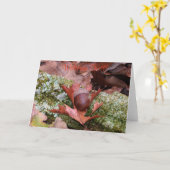 AcornとOak Leafグリーティングカード カード (黄色い花)