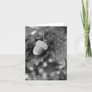 Acornノートカード カード