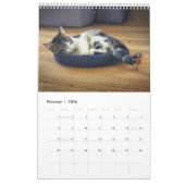 Acorn小人/デュバンチ写真カレンダー カレンダー (2月 2026)