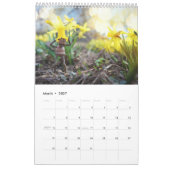 Acorn小人/デュバンチ写真カレンダー カレンダー (3月 2027)