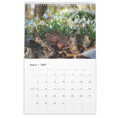 Acorn小人/デュバンチ写真カレンダー カレンダー (3月 2027)