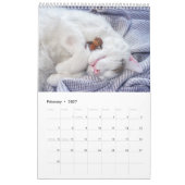 Acorn小人/デュバンチ写真カレンダー カレンダー (2月 2027)