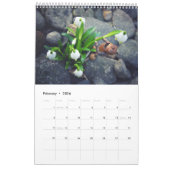 Acorn小人/デュバンチ写真カレンダー カレンダー (2月 2026)