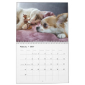 Acorn小人/デュバンチ写真カレンダー カレンダー (2月 2027)