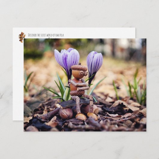 Acorn小妖精や小人が春はがきを待っている ポストカード (正面/裏面)