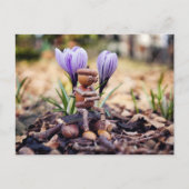 Acorn小妖精や小人が春はがきを待っている ポストカード (正面)