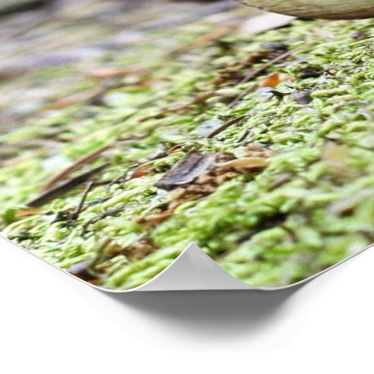 Acorn小妖精や小人はオフィスのポスターに自転車に乗る ポスター (角)