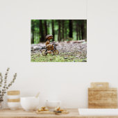 Acorn小妖精や小人はオフィスのポスターに自転車に乗る ポスター (キッチン)