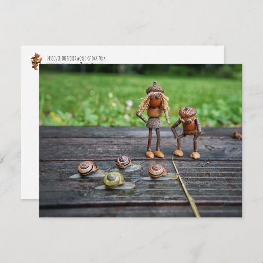 Acorn小妖精や小人はカタツムリのレースを見おもしろいる –  ポストカード (正面/裏面)