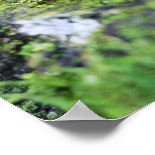 Acorn小妖精や小人フォトグラファーとバグポスター ポスター (角)