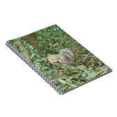 Acorn Notebook付きリス ノートブック (右側)