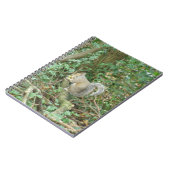 Acorn Notebook付きリス ノートブック (左側)