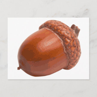 acorn.png ポストカード