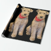 Acorn Wrapping Paper - Black ラッピングペーパー (アンロールド)