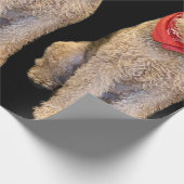 Acorn Wrapping Paper - Black ラッピングペーパー (角)