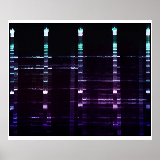 ACRゲル – 2 ポスター (正面)