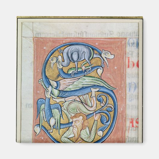 Acrobatを描いた履歴イニシャルの'S' マグネット (正面)