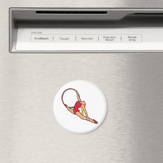 Acrobat マグネット (インサイチュ (食洗機))