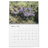 Acroporid Carls Wall Calendar by J.W.お父さん。 カレンダー (2月 2027)