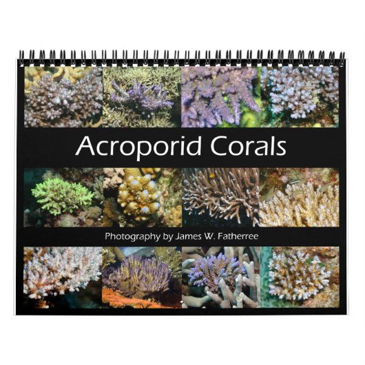 Acroporid Carls Wall Calendar by J.W.お父さん。 カレンダー (カバー)