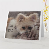 ACROSS THE MILES FOR ***YOUR BIRTHDAY*** カード (黄色い花)