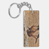 Acrylic keychain キーホルダー (正面左)