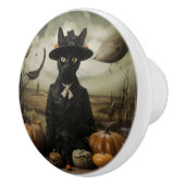 Acrylic Keychain セラミックノブ (右)