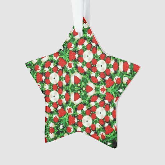 Acrylic Ornament オーナメント (正面)