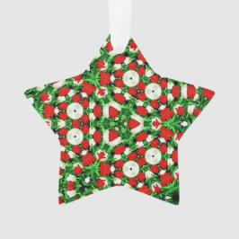 Acrylic Ornament オーナメント