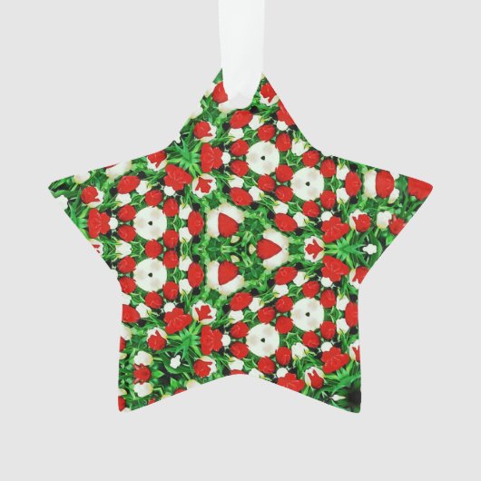 Acrylic Ornament オーナメント (正面)