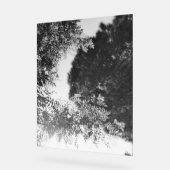 Acrylic Sign  アクリルサイン (傾斜)