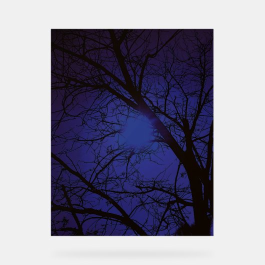 Acrylic Sign ART  DESIGN STYLE  アクリルサイン (正面)