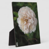 Acrylic Wall Art フォトプラーク (側面)