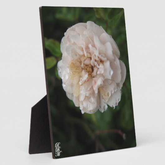 Acrylic Wall Art フォトプラーク (側面)