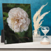 Acrylic Wall Art フォトプラーク (側面)