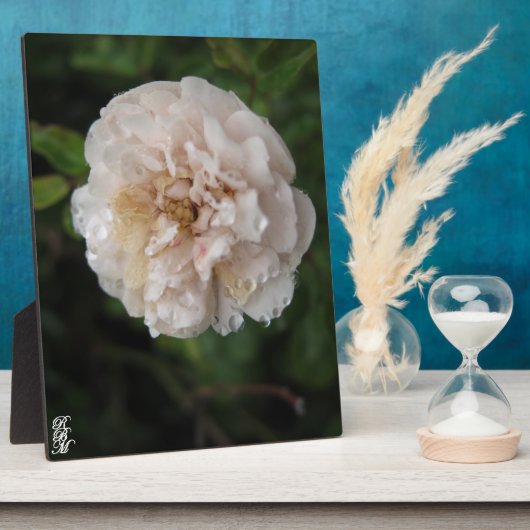 Acrylic Wall Art フォトプラーク (側面)