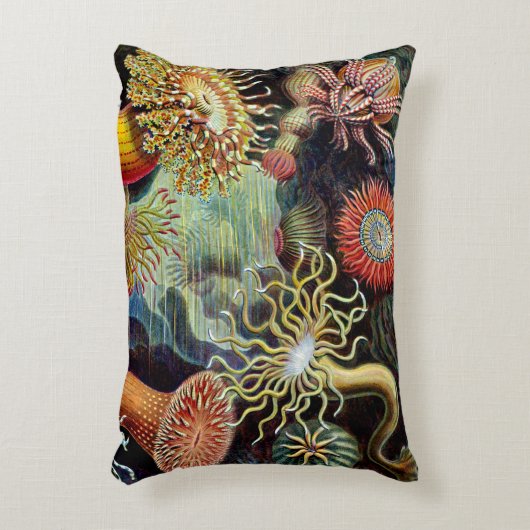Actiniae by Ernst Haeckelアクセントピロー アクセントクッション (正面(垂直))