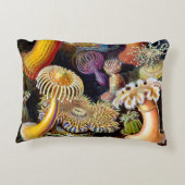 Actiniae by Ernst Haeckelアクセントピロー アクセントクッション (裏面)