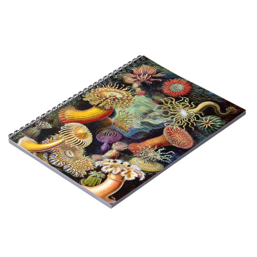 Actiniae by Ernst Haeckel Notebook ノートブック (左側)