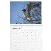 Action 2023カレンダーのOspreys カレンダー (2月 2027)