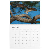 Action 2023カレンダーのOspreys カレンダー (3月 2027)