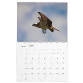 Action 2023カレンダーのOspreys カレンダー (1月 2027)