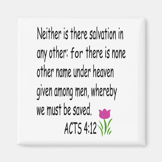 ACTS 4:12マグネット マグネット (正面)