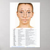 Acupressure Facial Points ポスター (正面)
