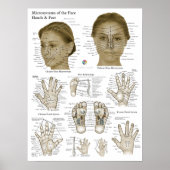 Acupressure Points Face Hand Feet ポスター (正面)