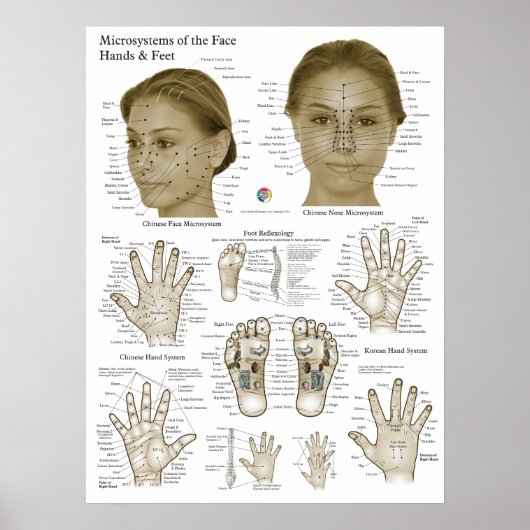 Acupressure Points Face Hand Feet ポスター (正面)