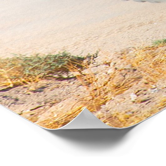 ACV-30水陸両用戦闘車 ポスター (角)