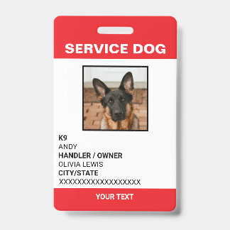 Adaカーパーソナライズされたドサービスの犬の写真ID バッジ