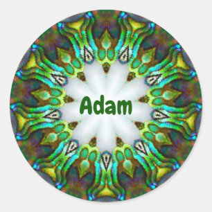 ADAM ~ パーソナライズド・パウアシェル・フラクタル ~  ラウンドシール