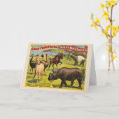 Adam Forepaugh & Sells Brothersのサーカスポスター カード (黄色い花)